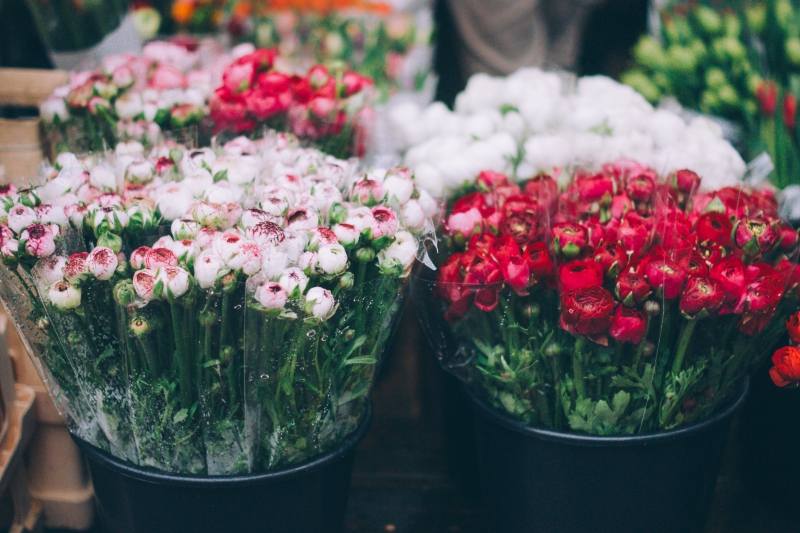 fleuriste-MOUGINS-min_farmers-market-1209712